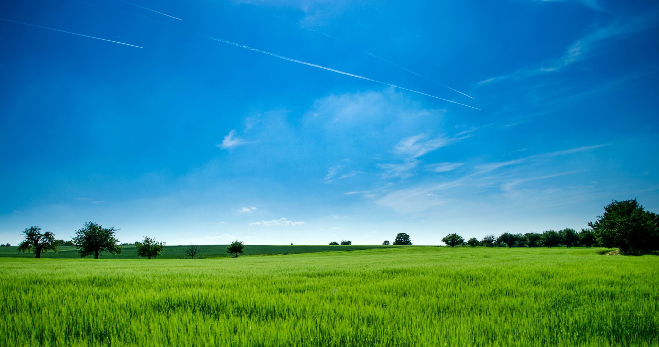 kuvassa vihreä peltomaisema ja sininen taivas