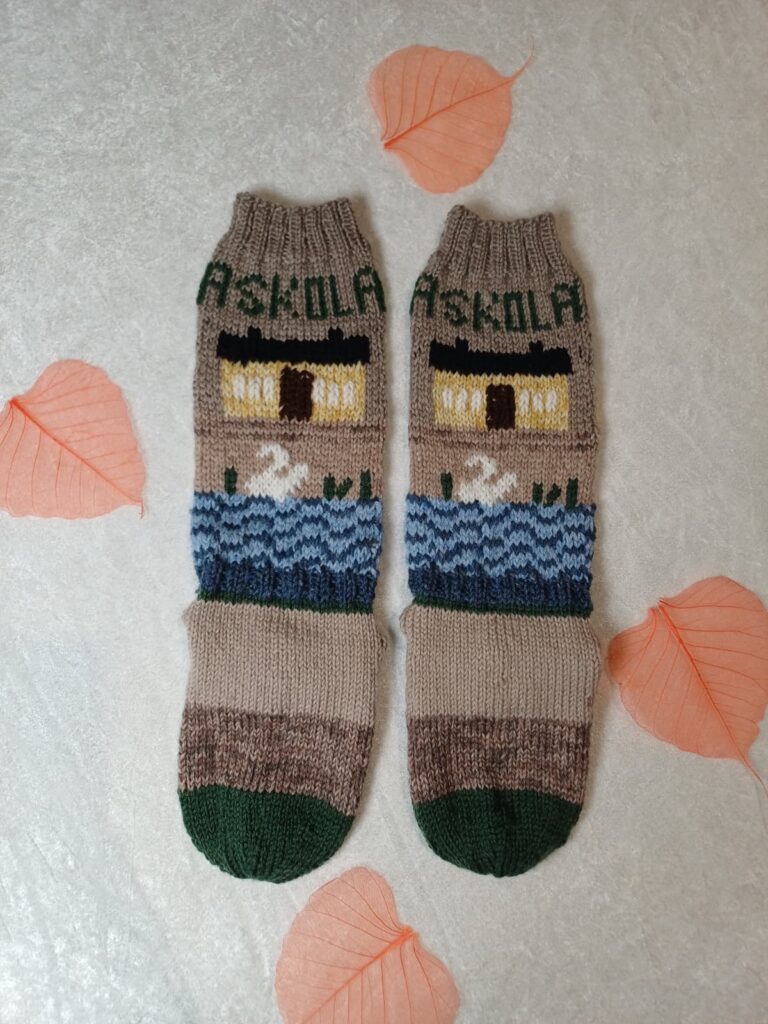 Villasukkakisan sukkapari