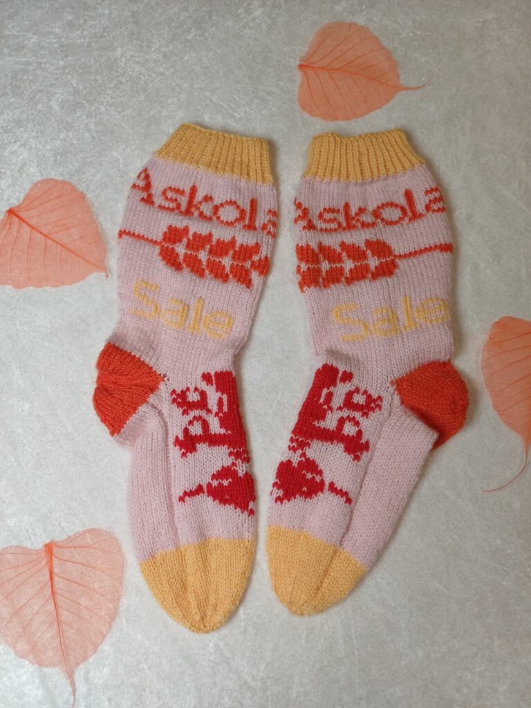 Villasukkakisan sukkapari